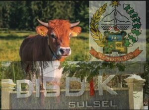 Dinas Pendidikan Sulsel Serahkan Sapi Qurban ke Masjid Istiqomah, Wakili Gubernur Andi Sudirman Sulaiman